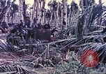 Image of United States Marines Guam Mariana Islands, 1944, second 52 stock footage video 65675064605
