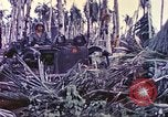 Image of United States Marines Guam Mariana Islands, 1944, second 57 stock footage video 65675064605