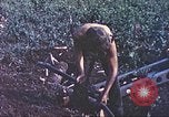 Standbild Vereinigten Staaten Marines Guam Marianen, 1944, aus Sekunde 28 historischem Filmmaterial Videoclip 65675064606