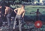 Standbild Vereinigten Staaten Marines Guam Marianen, 1944, aus Sekunde 39 historischem Filmmaterial Videoclip 65675064606