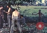 Standbild Vereinigten Staaten Marines Guam Marianen, 1944, aus Sekunde 41 historischem Filmmaterial Videoclip 65675064606