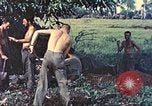 Standbild Vereinigten Staaten Marines Guam Marianen, 1944, aus Sekunde 42 historischem Filmmaterial Videoclip 65675064606