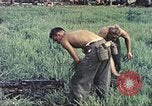 Standbild Vereinigten Staaten Marines Guam Marianen, 1944, aus Sekunde 44 historischem Filmmaterial Videoclip 65675064606