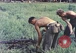 Standbild Vereinigten Staaten Marines Guam Marianen, 1944, aus Sekunde 50 historischem Filmmaterial Videoclip 65675064606