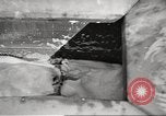 Standbild B-25 Mitchell Rockford Illinois USA, 1945, aus Sekunde 18 historischem Filmmaterial Videoclip 65675064610