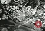 Standbild kanadischen Jet Fighter Crash Ottawa Ontario Kanada, 1956, aus Sekunde 23 historischem Filmmaterial Videoclip 65675064615