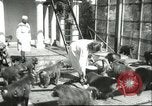 Standbild monkey Kindergarten Russland, 1956, aus Sekunde 3 historischem Filmmaterial Videoclip 65675064617