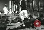 Standbild monkey Kindergarten Russland, 1956, aus Sekunde 5 historischem Filmmaterial Videoclip 65675064617