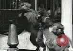 Standbild monkey Kindergarten Russland, 1956, aus Sekunde 8 historischem Filmmaterial Videoclip 65675064617