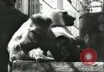 Standbild monkey Kindergarten Russland, 1956, aus Sekunde 12 historischem Filmmaterial Videoclip 65675064617