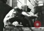 Standbild monkey Kindergarten Russland, 1956, aus Sekunde 13 historischem Filmmaterial Videoclip 65675064617