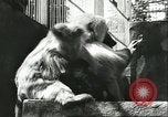 Standbild monkey Kindergarten Russland, 1956, aus Sekunde 14 historischem Filmmaterial Videoclip 65675064617