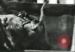 Standbild monkey Kindergarten Russland, 1956, aus Sekunde 16 historischem Filmmaterial Videoclip 65675064617