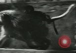 Standbild monkey Kindergarten Russland, 1956, aus Sekunde 17 historischem Filmmaterial Videoclip 65675064617