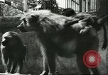 Standbild monkey Kindergarten Russland, 1956, aus Sekunde 18 historischem Filmmaterial Videoclip 65675064617