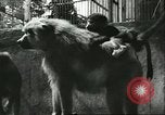Standbild monkey Kindergarten Russland, 1956, aus Sekunde 19 historischem Filmmaterial Videoclip 65675064617