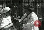 Standbild monkey Kindergarten Russland, 1956, aus Sekunde 20 historischem Filmmaterial Videoclip 65675064617