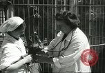 Standbild monkey Kindergarten Russland, 1956, aus Sekunde 21 historischem Filmmaterial Videoclip 65675064617