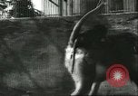 Standbild monkey Kindergarten Russland, 1956, aus Sekunde 24 historischem Filmmaterial Videoclip 65675064617