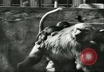 Standbild monkey Kindergarten Russland, 1956, aus Sekunde 25 historischem Filmmaterial Videoclip 65675064617