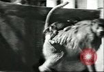 Standbild monkey Kindergarten Russland, 1956, aus Sekunde 26 historischem Filmmaterial Videoclip 65675064617