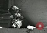 Standbild monkey Kindergarten Russland, 1956, aus Sekunde 31 historischem Filmmaterial Videoclip 65675064617