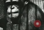 Standbild monkey Kindergarten Russland, 1956, aus Sekunde 42 historischem Filmmaterial Videoclip 65675064617