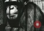 Standbild monkey Kindergarten Russland, 1956, aus Sekunde 43 historischem Filmmaterial Videoclip 65675064617