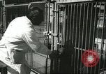 Standbild monkey Kindergarten Russland, 1956, aus Sekunde 44 historischem Filmmaterial Videoclip 65675064617