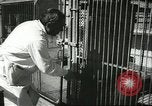 Standbild monkey Kindergarten Russland, 1956, aus Sekunde 46 historischem Filmmaterial Videoclip 65675064617