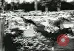 Standbild Präsident Giovanni Gronchi Rom Italien, 1956, aus Sekunde 14 historischem Filmmaterial Videoclip 65675064619