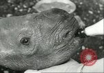 Standbild Brookfield Zoo Chicago Illinois USA, 1956, aus Sekunde 10 historischem Filmmaterial Videoclip 65675064622