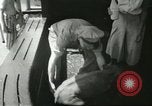Standbild Brookfield Zoo Chicago Illinois USA, 1956, aus Sekunde 15 historischem Filmmaterial Videoclip 65675064622