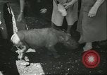 Standbild Brookfield Zoo Chicago Illinois USA, 1956, aus Sekunde 16 historischem Filmmaterial Videoclip 65675064622