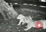 Standbild Brookfield Zoo Chicago Illinois USA, 1956, aus Sekunde 18 historischem Filmmaterial Videoclip 65675064622
