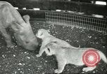 Standbild Brookfield Zoo Chicago Illinois USA, 1956, aus Sekunde 19 historischem Filmmaterial Videoclip 65675064622