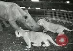 Standbild Brookfield Zoo Chicago Illinois USA, 1956, aus Sekunde 21 historischem Filmmaterial Videoclip 65675064622