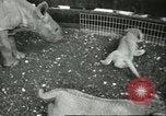 Standbild Brookfield Zoo Chicago Illinois USA, 1956, aus Sekunde 23 historischem Filmmaterial Videoclip 65675064622