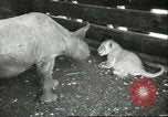 Standbild Brookfield Zoo Chicago Illinois USA, 1956, aus Sekunde 28 historischem Filmmaterial Videoclip 65675064622