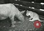 Standbild Brookfield Zoo Chicago Illinois USA, 1956, aus Sekunde 29 historischem Filmmaterial Videoclip 65675064622