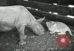 Standbild Brookfield Zoo Chicago Illinois USA, 1956, aus Sekunde 30 historischem Filmmaterial Videoclip 65675064622