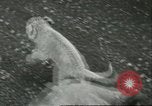 Standbild Brookfield Zoo Chicago Illinois USA, 1956, aus Sekunde 34 historischem Filmmaterial Videoclip 65675064622