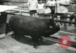 Standbild Brookfield Zoo Chicago Illinois USA, 1956, aus Sekunde 39 historischem Filmmaterial Videoclip 65675064622