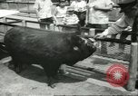 Standbild Brookfield Zoo Chicago Illinois USA, 1956, aus Sekunde 40 historischem Filmmaterial Videoclip 65675064622