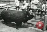 Standbild Brookfield Zoo Chicago Illinois USA, 1956, aus Sekunde 41 historischem Filmmaterial Videoclip 65675064622