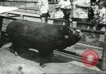 Standbild Brookfield Zoo Chicago Illinois USA, 1956, aus Sekunde 42 historischem Filmmaterial Videoclip 65675064622