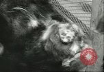 Standbild Brookfield Zoo Chicago Illinois USA, 1956, aus Sekunde 45 historischem Filmmaterial Videoclip 65675064622