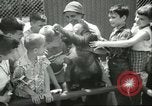 Standbild Brookfield Zoo Chicago Illinois USA, 1956, aus Sekunde 52 historischem Filmmaterial Videoclip 65675064622