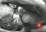 Standbild Brookfield Zoo Chicago Illinois USA, 1956, aus Sekunde 54 historischem Filmmaterial Videoclip 65675064622