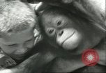 Standbild Brookfield Zoo Chicago Illinois USA, 1956, aus Sekunde 55 historischem Filmmaterial Videoclip 65675064622
